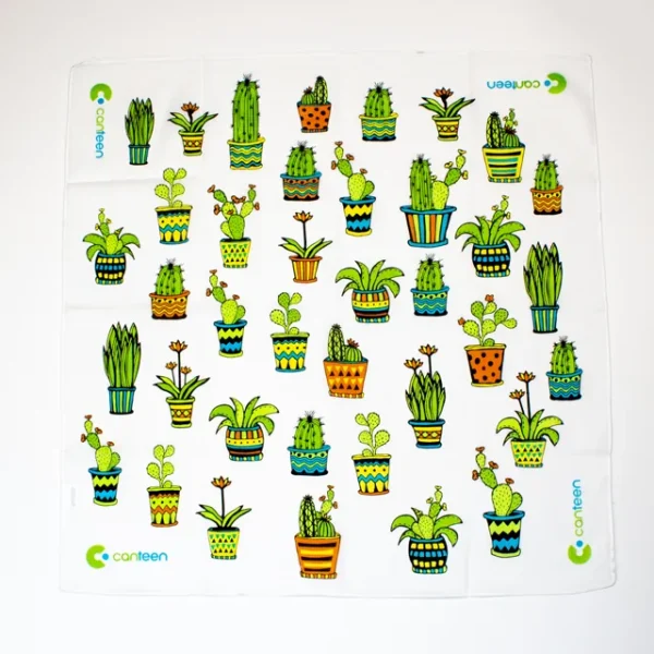A wide shot photo of the Cactus bandana laid out flat