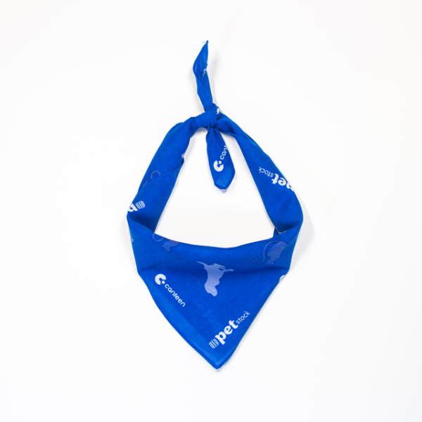 Cats & Dogs bandanna - Image 3