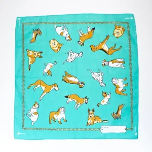 A wide shot of a blue dog bandanna