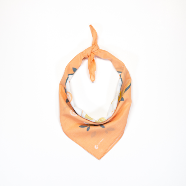 A photo of a cute koala bandana tied up and styled