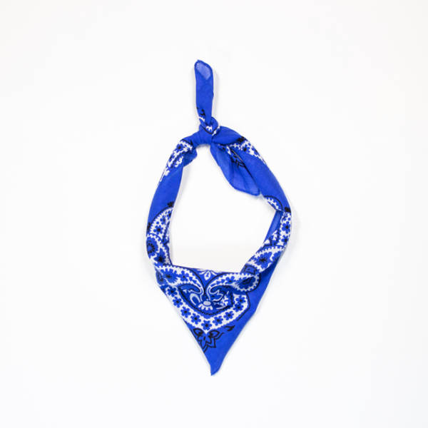 Mexican design bandanna - Blue - Image 3