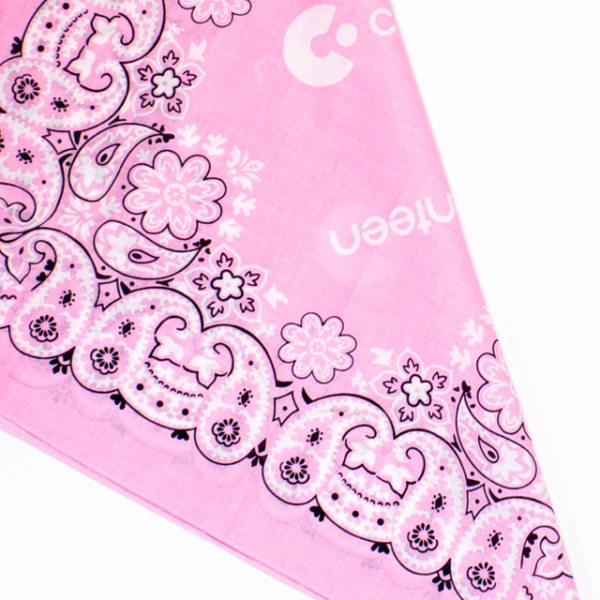 A close up photo of the Mexican Paisely Design Pink Bandanna