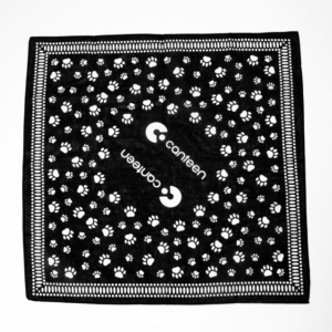 A wide shot photo of the paw print pet bandana laid out flat
