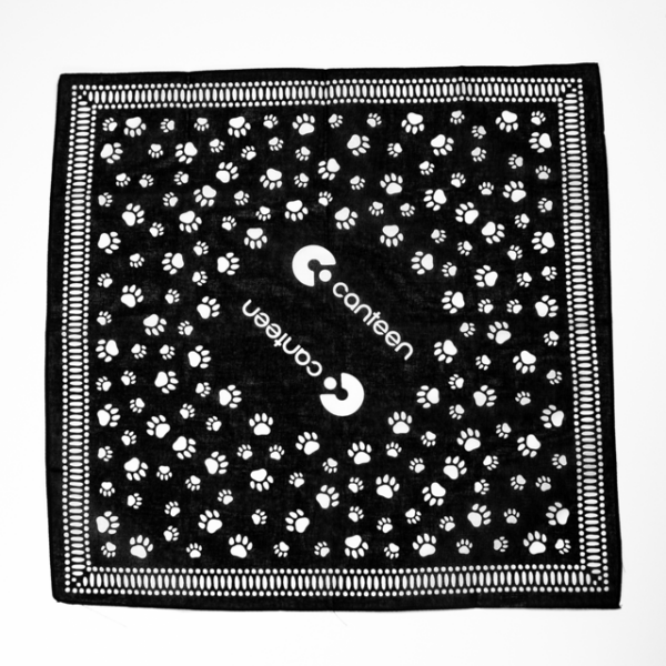 A wide shot photo of the paw print pet bandana laid out flat