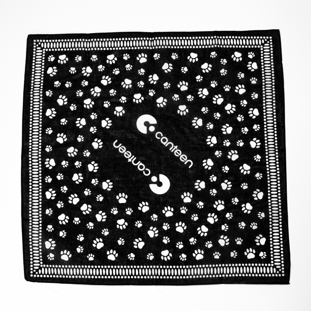 A wide shot photo of the paw print pet bandana laid out flat