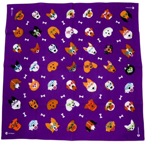 Stylish Dog bandanna flat product shot
