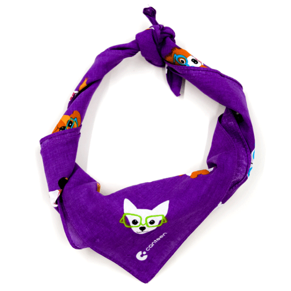 Stylish Dogs - Purple bandanna - Image 3