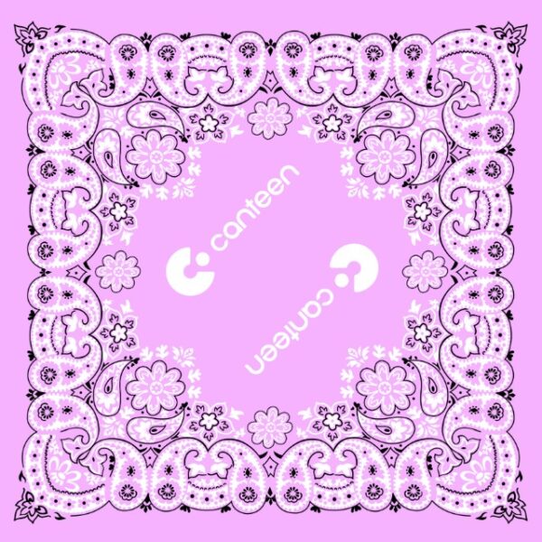 A wide shot photo of the Mexican pink bandana