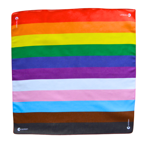 Progress Pride Bandanna