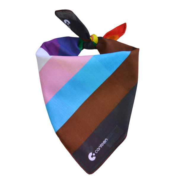 Progress Pride bandanna - Image 3