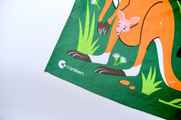 Celebrating Australian Marsupials